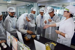 罗赛洛创新日 工厂品尝创新食品