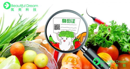 什么是智慧农贸放心市场溯源系统 农贸市场又该如何建立安全的食品追溯体系