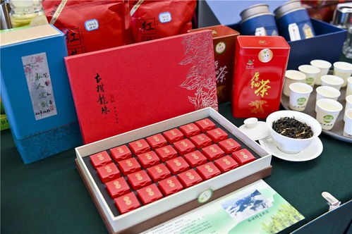 聚焦丨红河 绿色食品牌 入人心,文旅农特产品惹人爱