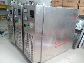 邯郸食品厂臭氧发生器移动式臭氧发生器