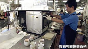 日本食品加工现场 老鼠躲进一家日本食品工厂,结果它饿死了,这是为什么