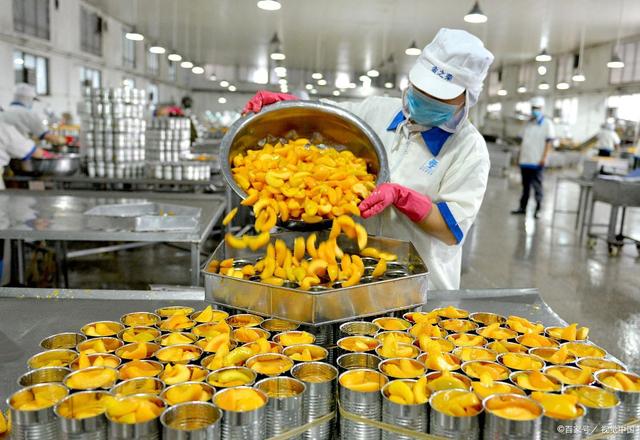 农村创业发财的8个食品类商机